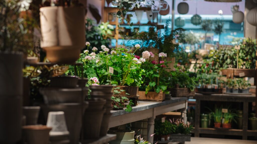 Blomsterbutik med gröna växter, blommande krukväxter och krukor på bord i butiksmiljö.