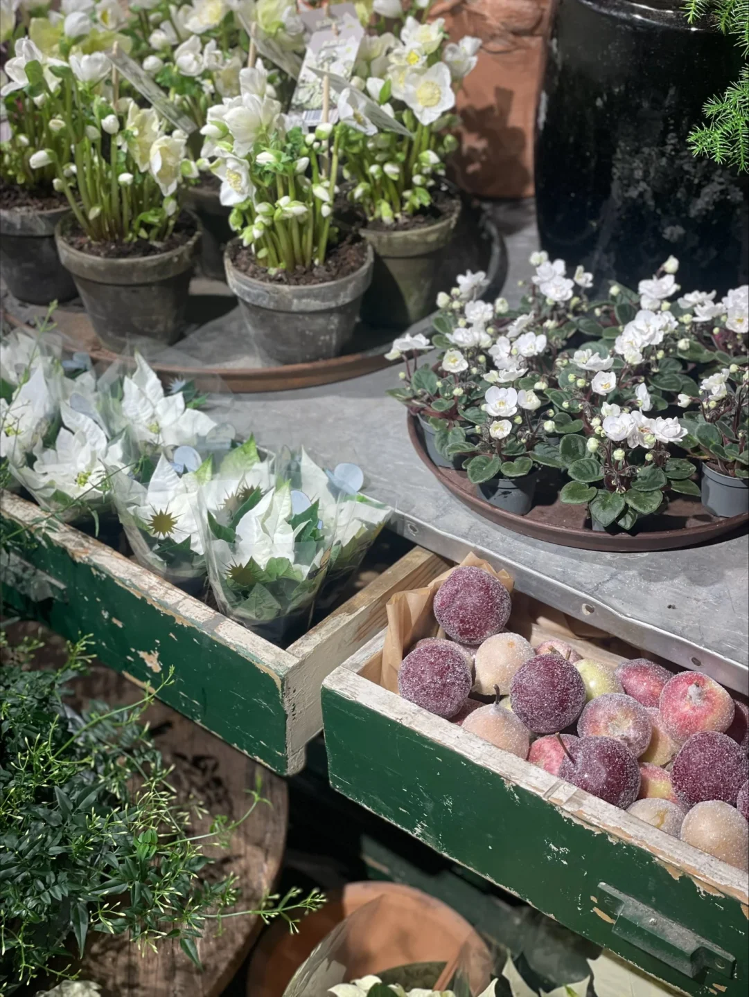 Blommor på Kungsholmen
